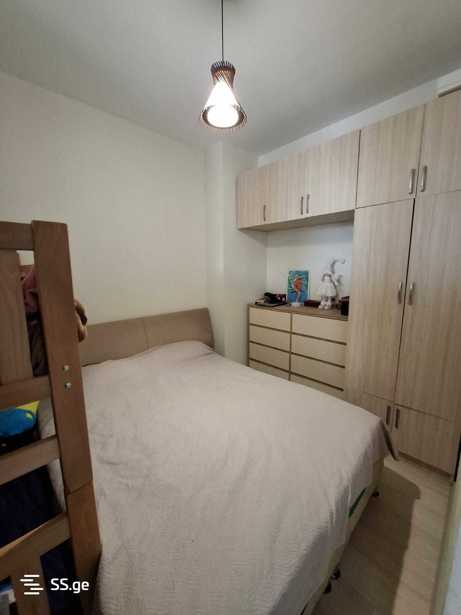 https://static.ss.ge/20260205/5_5382ff1c-7cbb-42b9-a670-98f1292b4aa4_Thumb.jpg