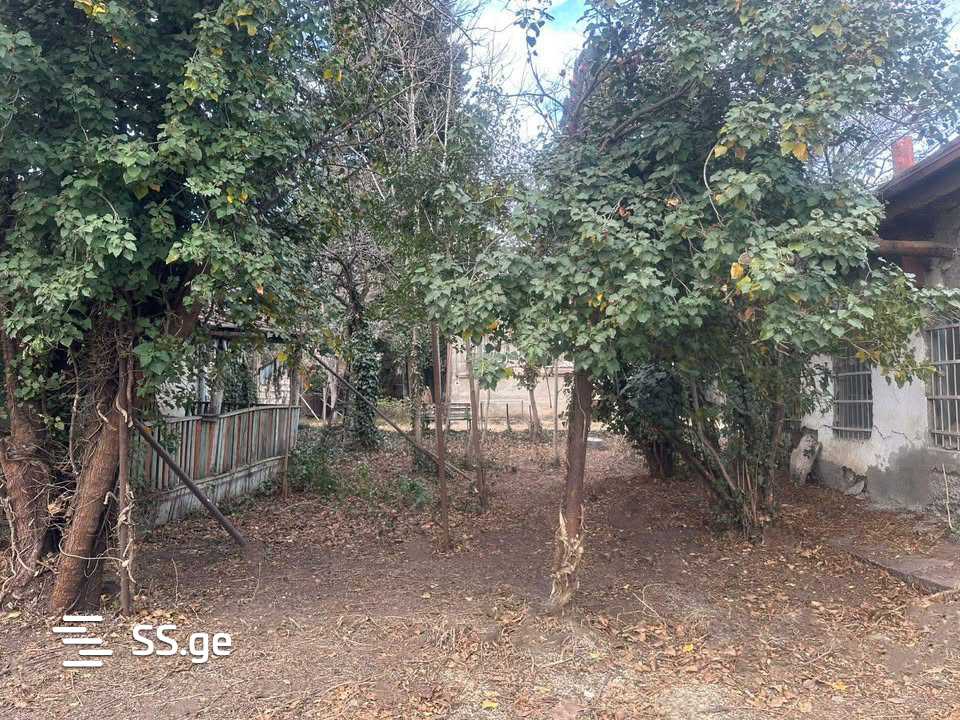 Land For Sale. Isani, 3 of 4