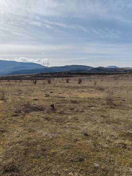 Land For Sale. Dzegvi