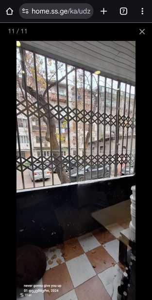 https://static.ss.ge/20260206/15_73a26274-3879-4819-af79-327061e63095_Thumb.jpg