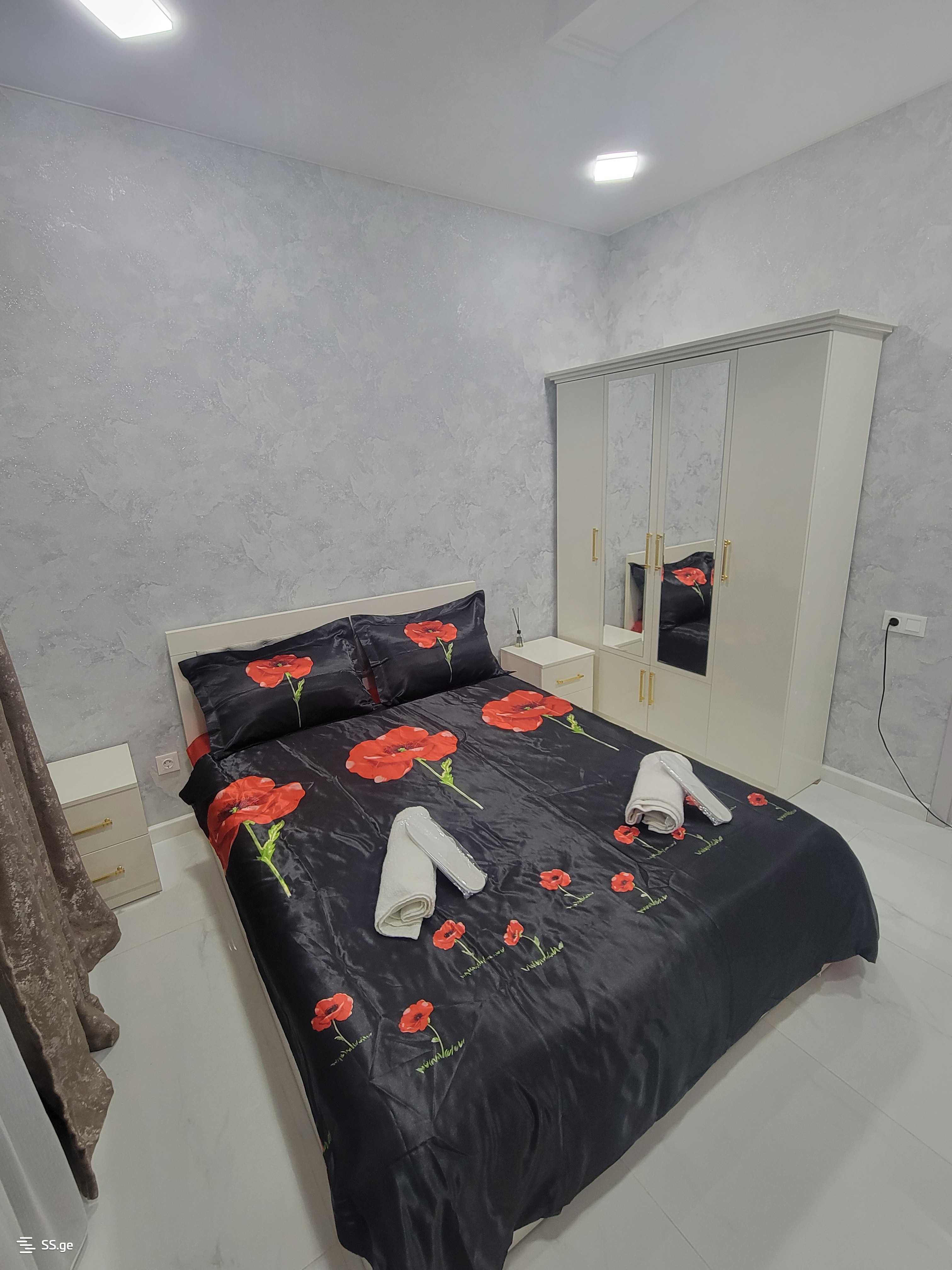 2 room Flat Daily rent. Didi digomi - Widok 4