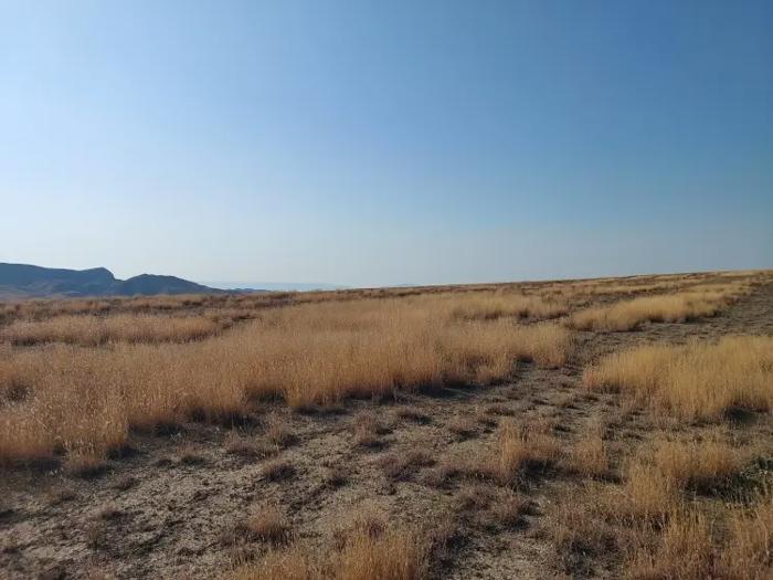 Land For Sale. Dedoplistskaro