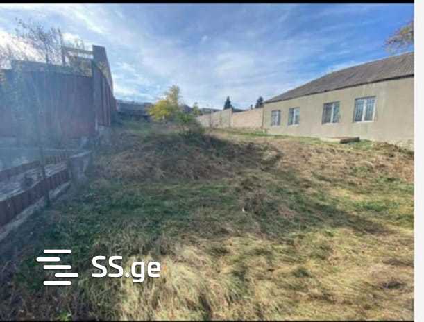 Land For Sale. Isani, 4 of 4