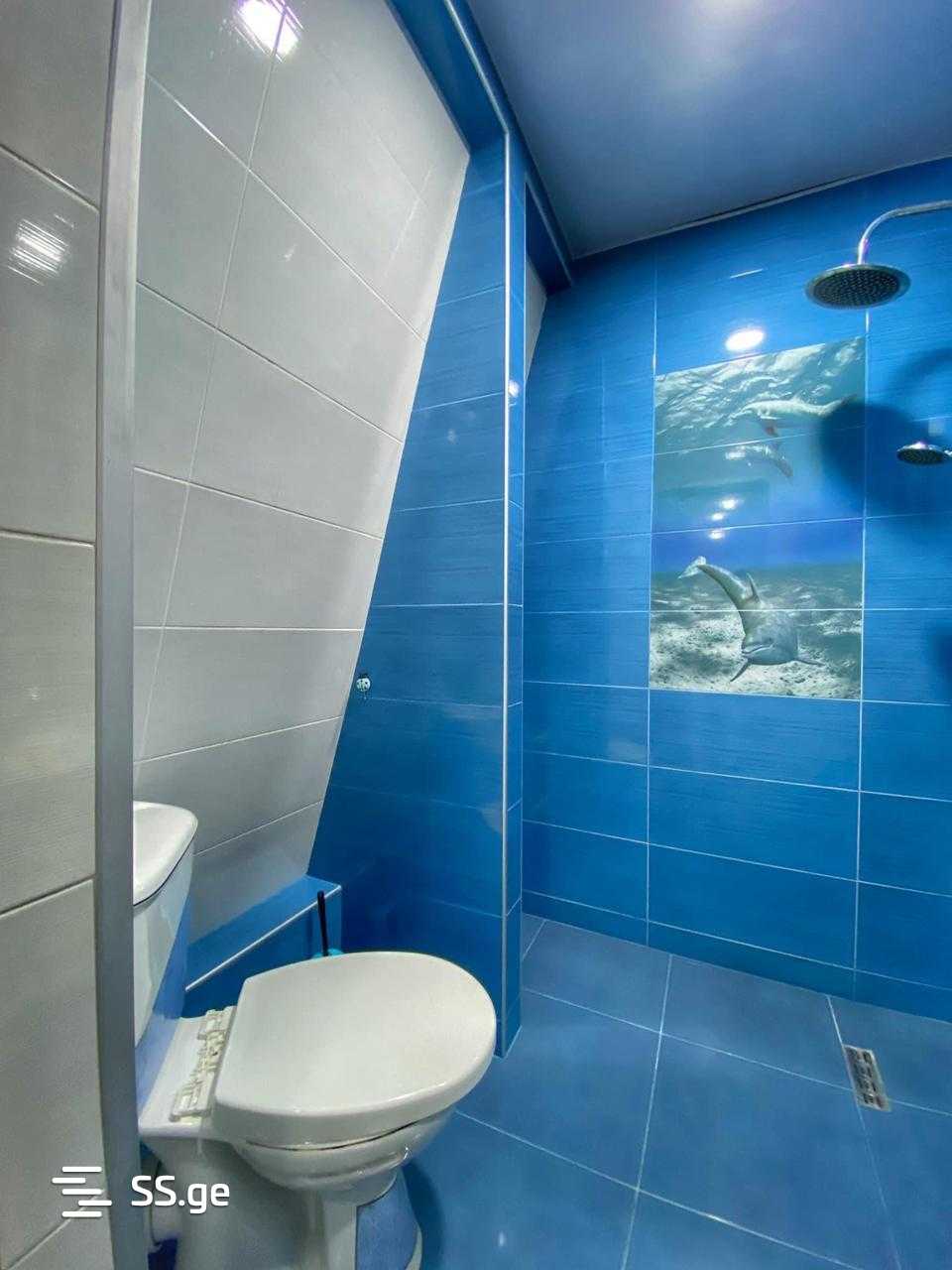 5 Room Private House For Rent. Batumi, 10 of 12