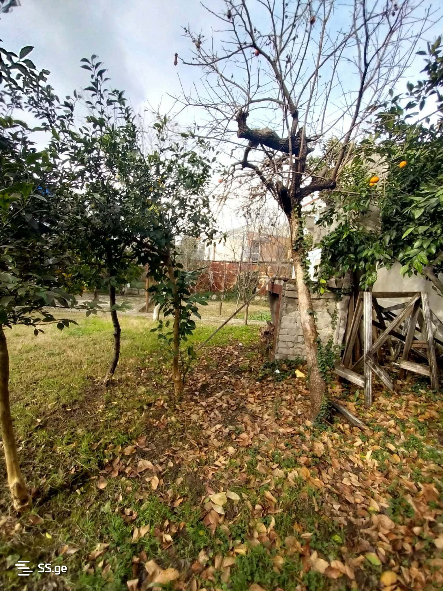 6 Room Private House For Sale view 3