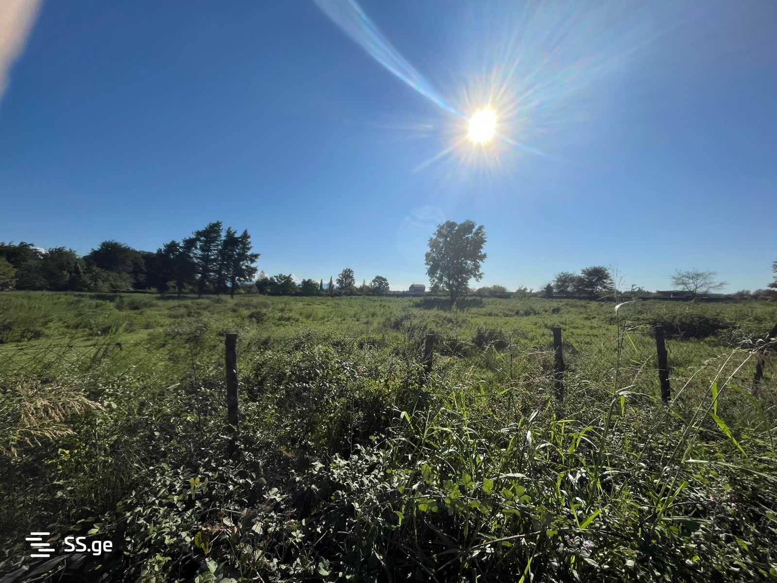 Land For Sale. Kutaisi view 3