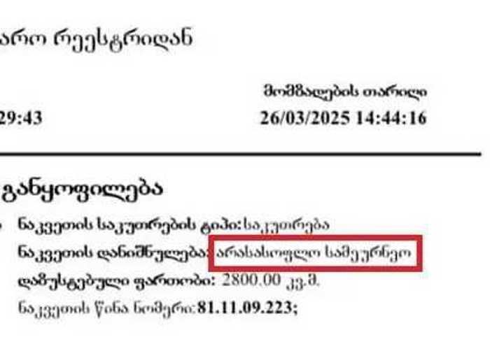 https://static.ss.ge/20260207/17_f79c6459-6dd1-4f73-b494-993eacbe20b5_Thumb.jpg