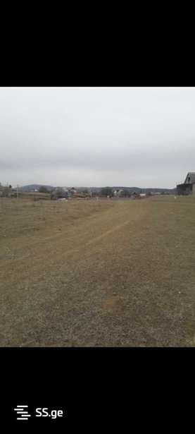 https://static.ss.ge/20260207/18_bdac776f-4b56-4a5a-8979-bc40fd61b74a_Thumb.jpg
