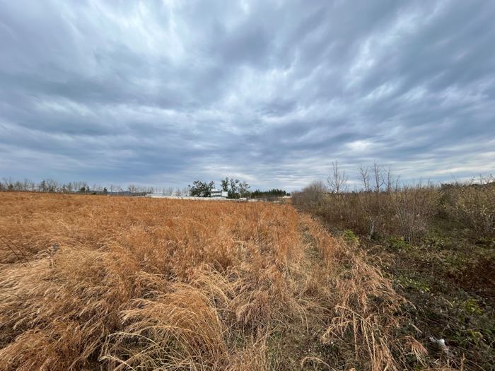 Land For Sale. Tskaltubo