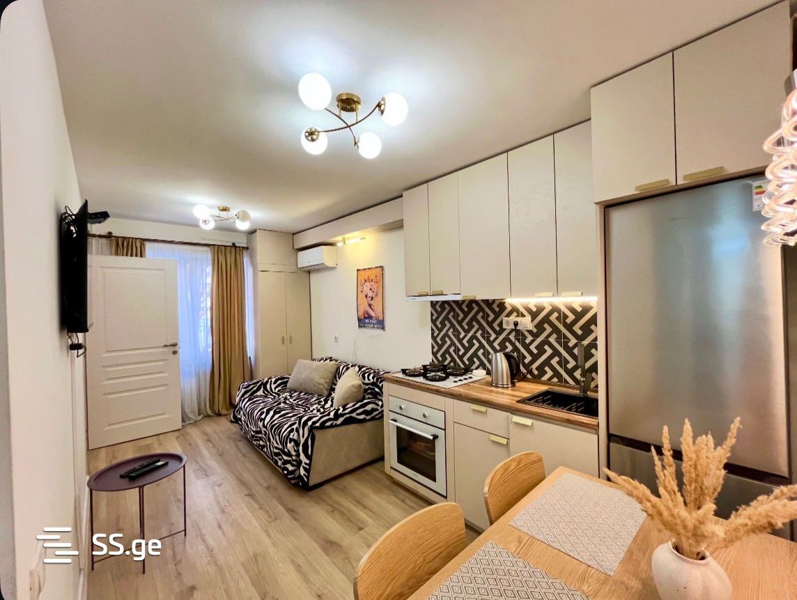 2 room Flat Daily rent. Saburtalo, Tbilisi