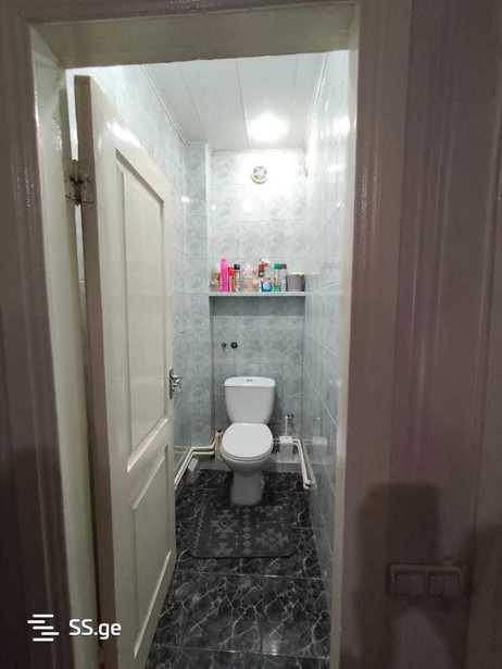 https://static.ss.ge/20260207/5_2eb3dc6d-9bbb-4e72-a23e-cc7fac18461a_Thumb.jpg