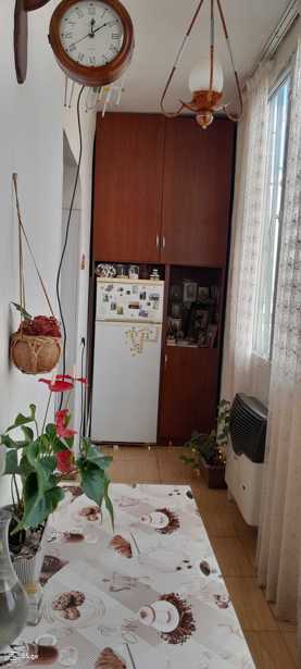 https://static.ss.ge/20260208/10_7fe9760b-9de8-4631-96b9-20f917614887_Thumb.jpg