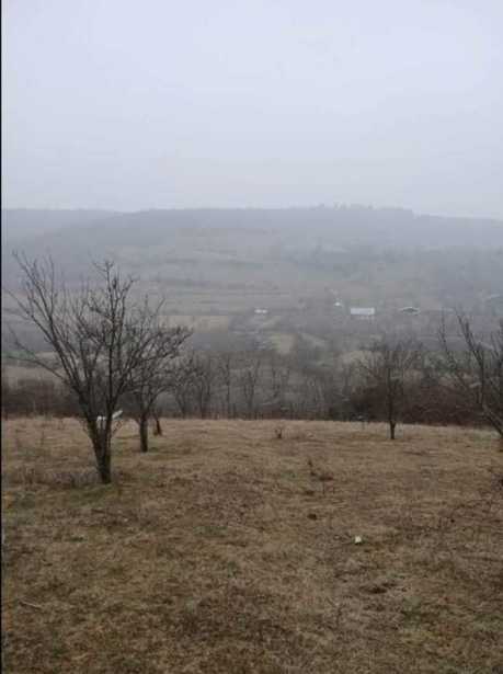 Land For Sale. Dusheti