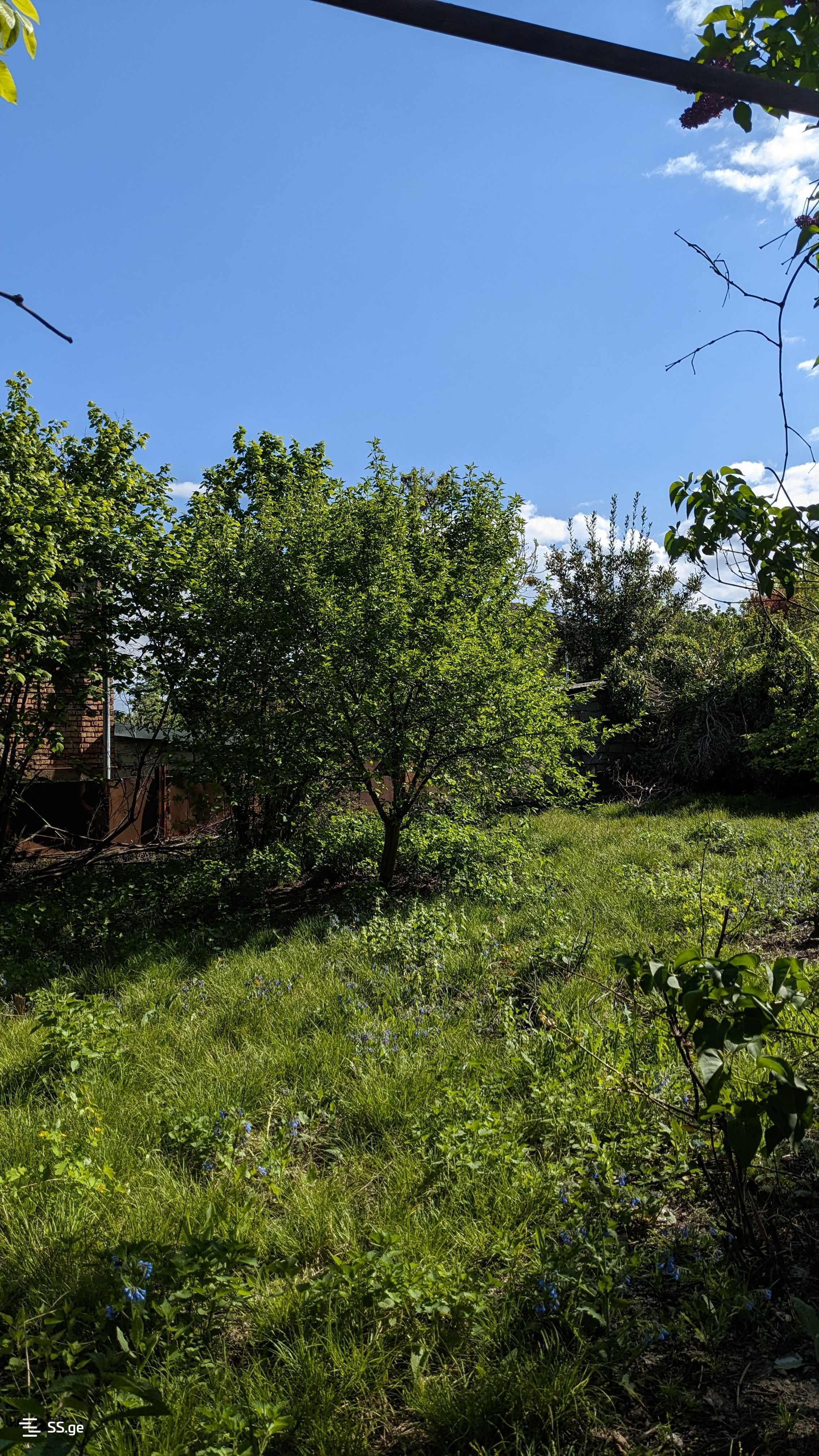 10 Room Private House For Sale view 9