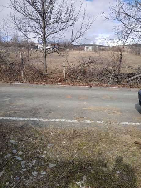 Land For Sale. Dusheti