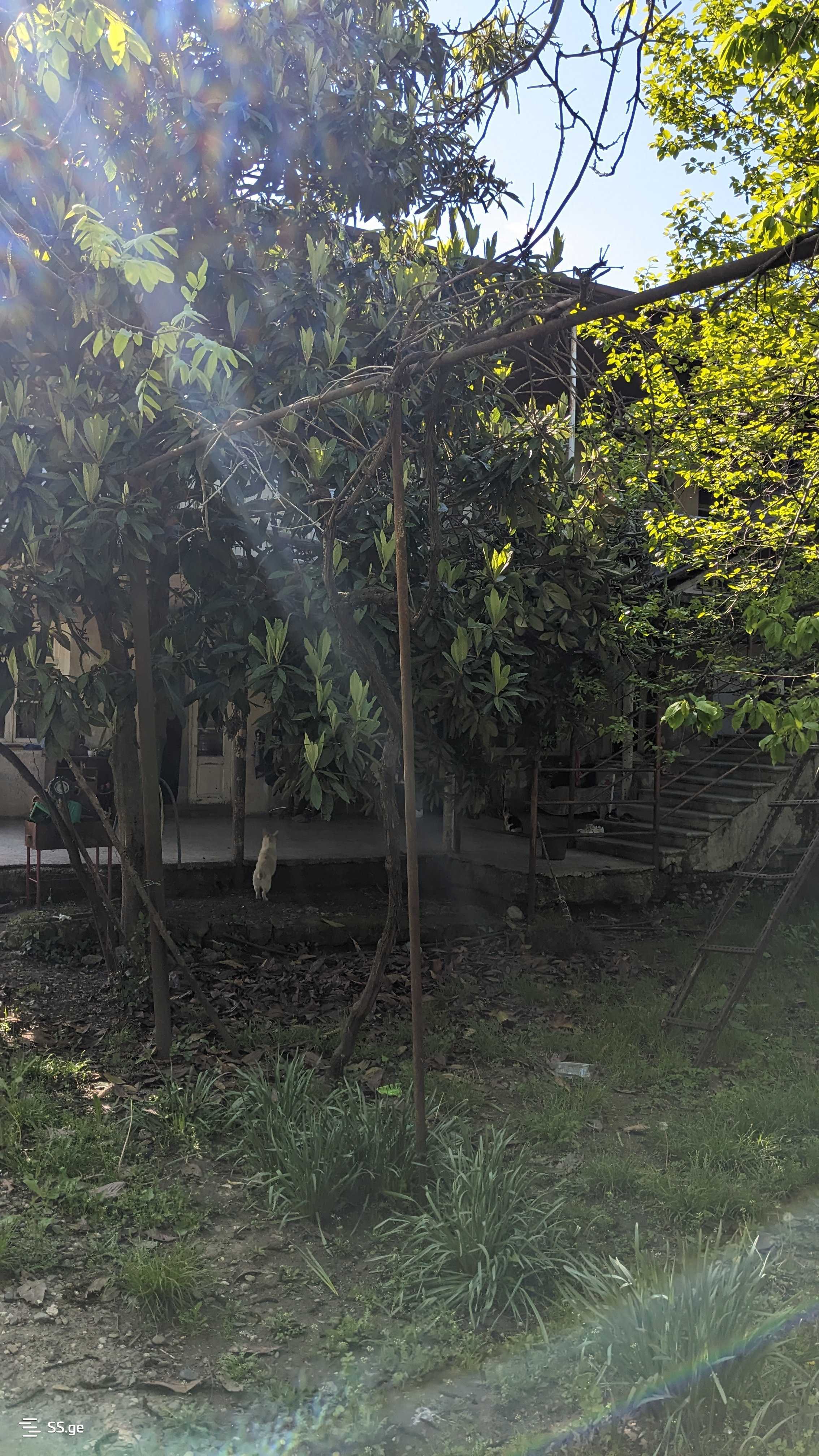 10 Room Private House For Sale view 6