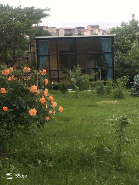 https://static.ss.ge/20260209/12_c1edcf1a-5fc2-4cf4-98df-05aeb206cf71_Thumb.jpg