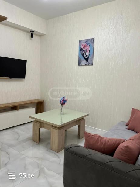 https://static.ss.ge/20260210/13_05dbbf04-2d83-4d70-8525-a3ec870e05de_Thumb.jpg