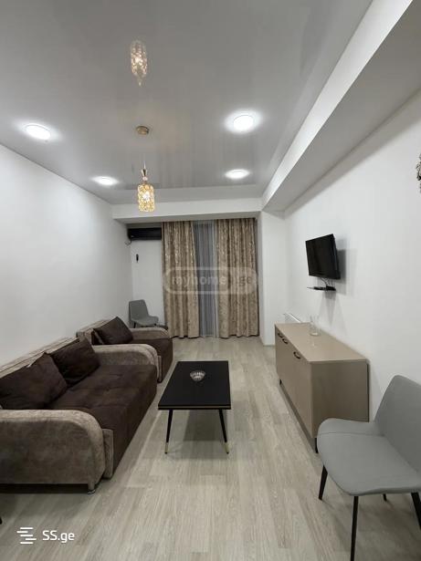 https://static.ss.ge/20260210/13_bab9d199-2071-42fb-ac56-204b72a5b723_Thumb.jpg