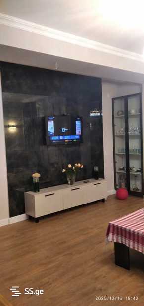 https://static.ss.ge/20260210/14_2605c4e6-56c0-4017-9187-db80c7d9b892_Thumb.jpg