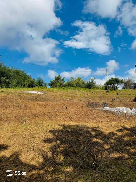 https://static.ss.ge/20260210/15_a7aa2316-540f-4491-b471-c44f80e1c381_Thumb.jpg
