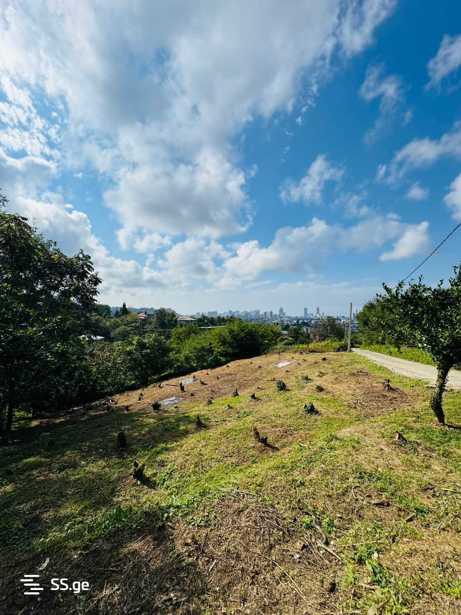 https://static.ss.ge/20260210/3_73892e4f-cc24-4706-9a59-2caec5ad8e91_Thumb.jpg
