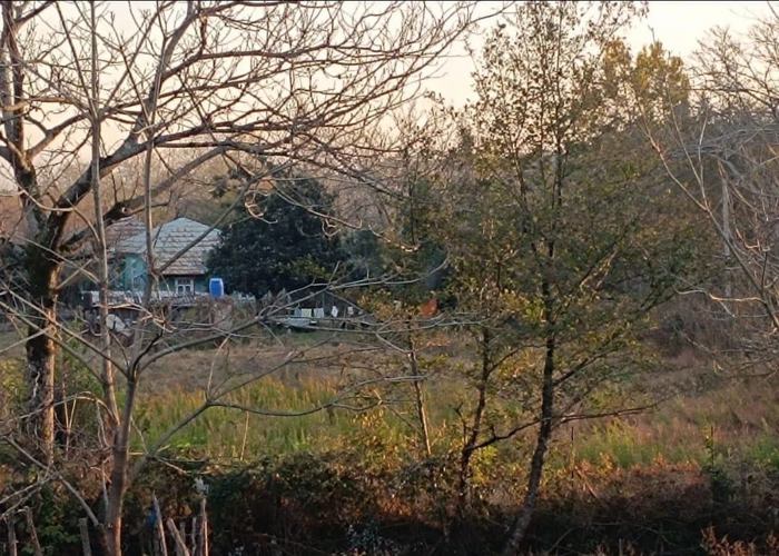 Land For Sale. Grigoleti