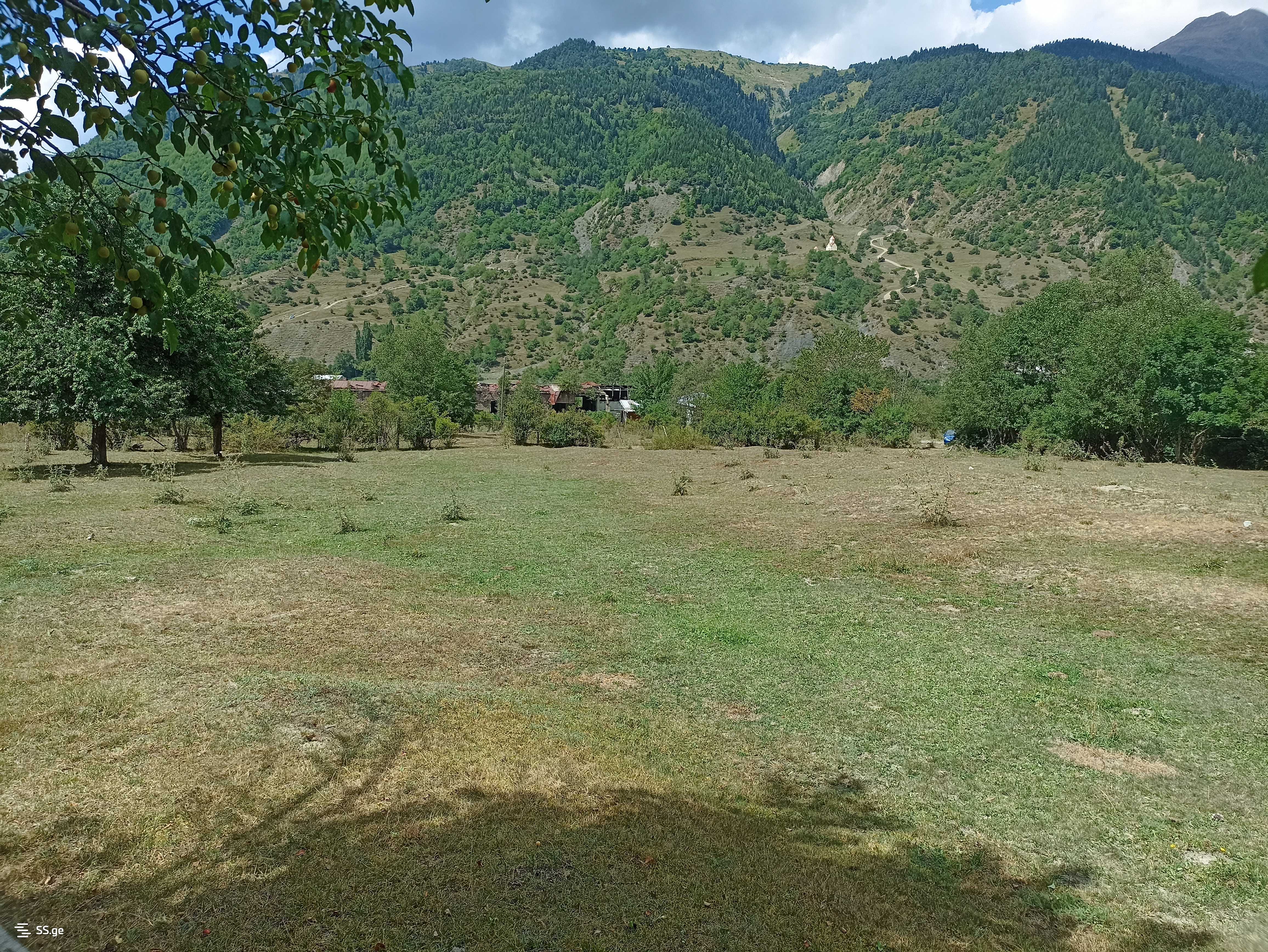 იყიდება მიწა მესტიაში view 3