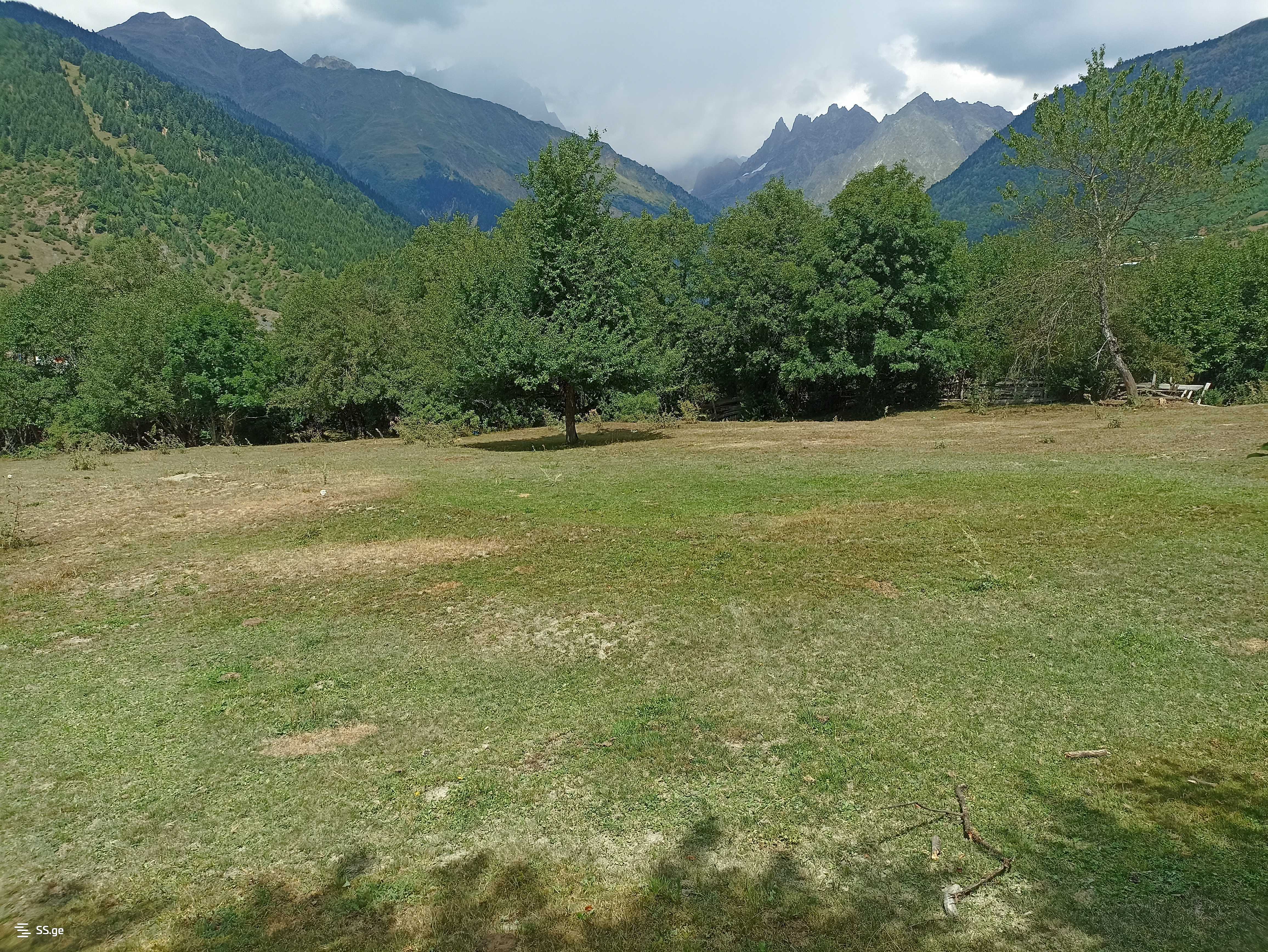იყიდება მიწა მესტიაში view 1