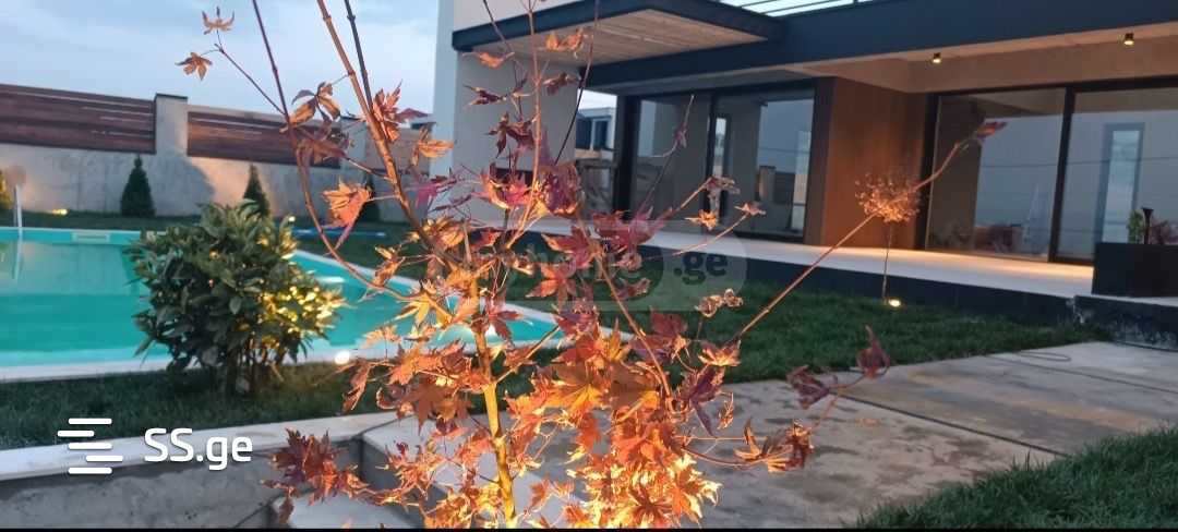 8 Room Private House For Sale view 4