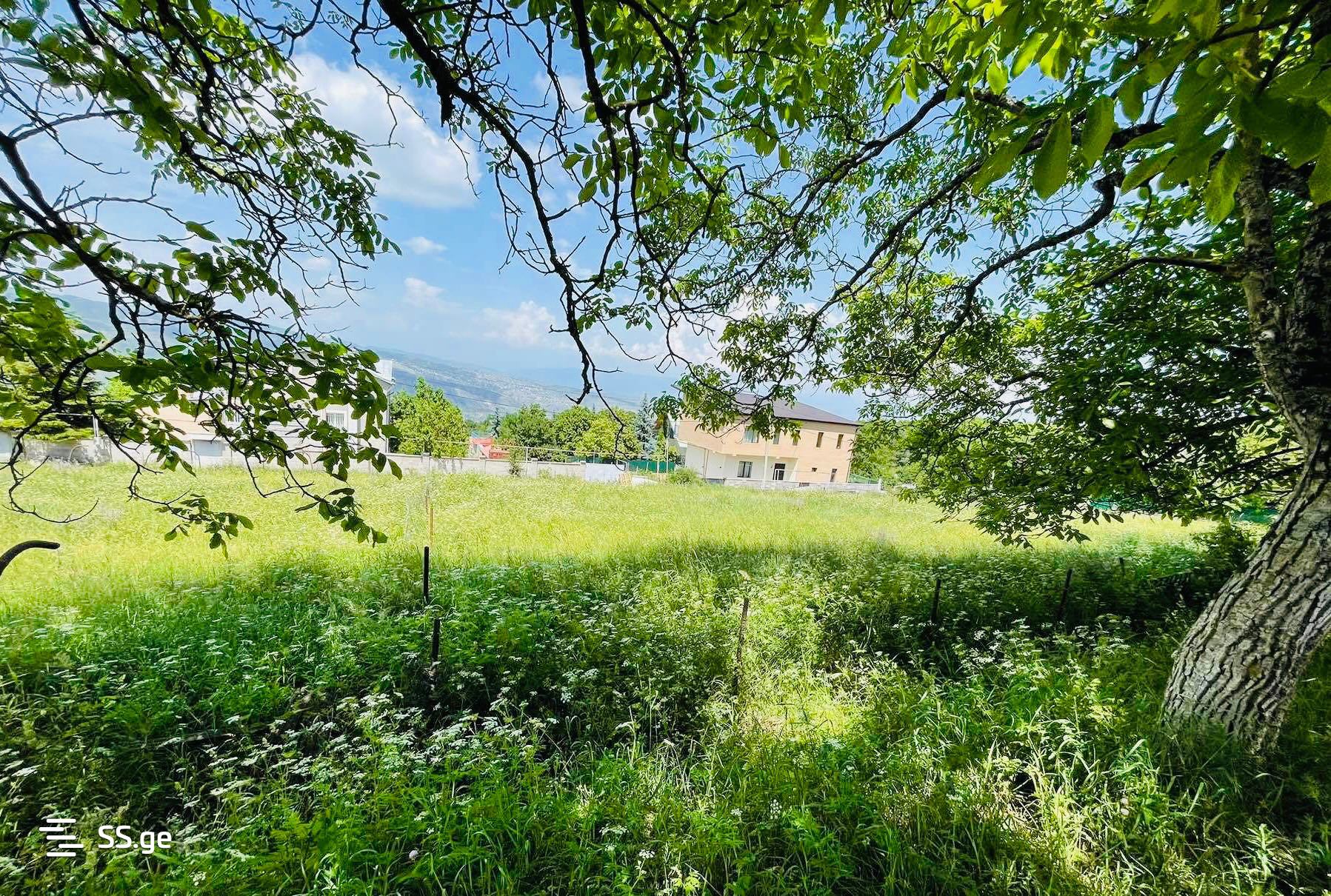 Land For Sale. Betania view 2