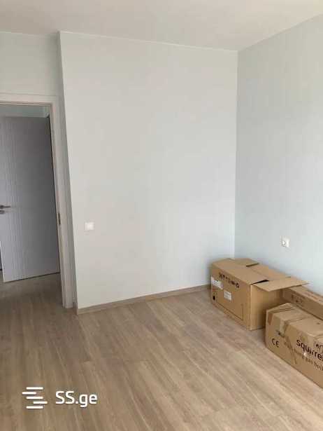 https://static.ss.ge/20260212/12_81cadd12-5e1c-4a41-919b-9e0040d22422_Thumb.jpg