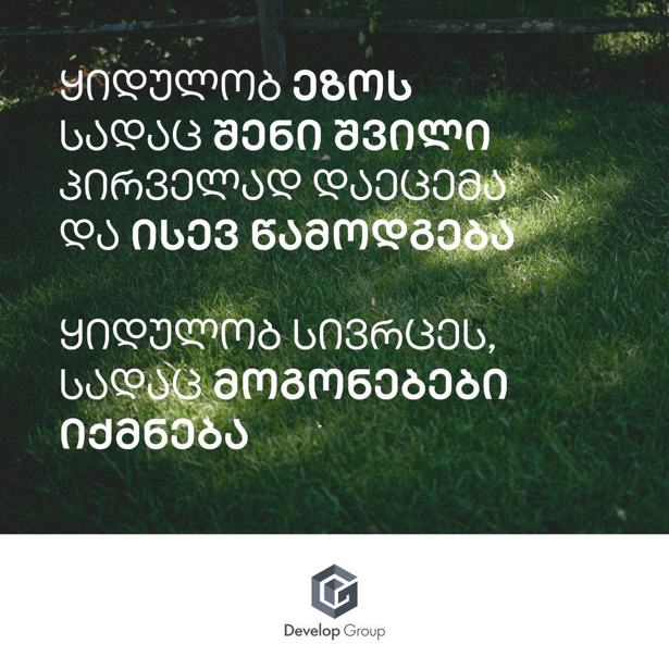 https://static.ss.ge/20260212/16_45199285-d372-459b-92ad-7ebe144100ee_Thumb.jpg