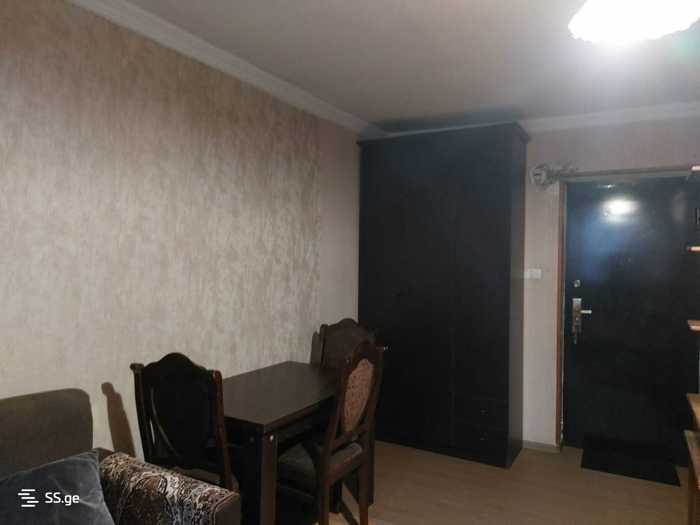 https://static.ss.ge/20260212/17_2b55e206-7981-4c79-ada2-a0933085fa75_Thumb.jpg