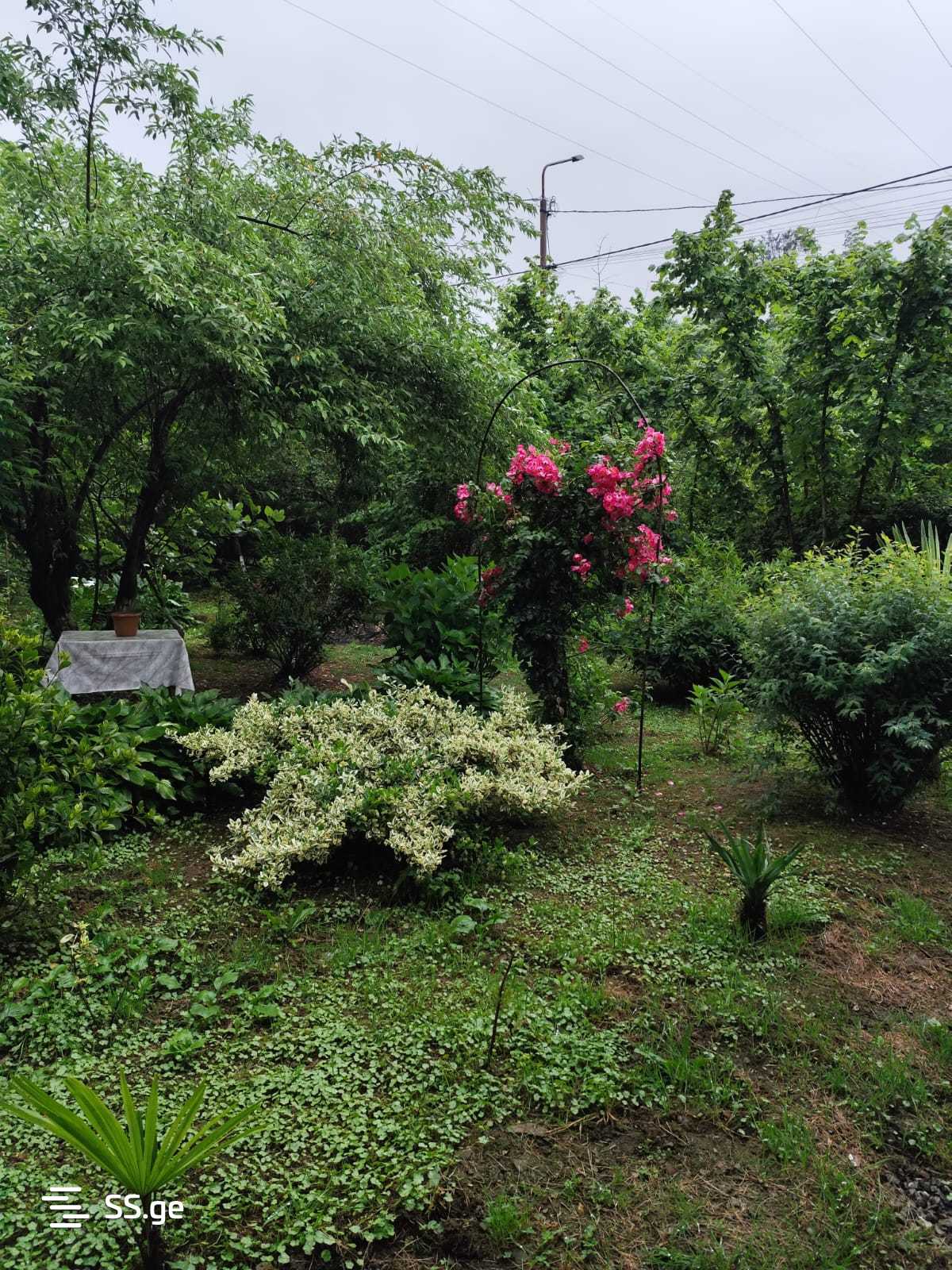 5 Room Private House For Sale view 13