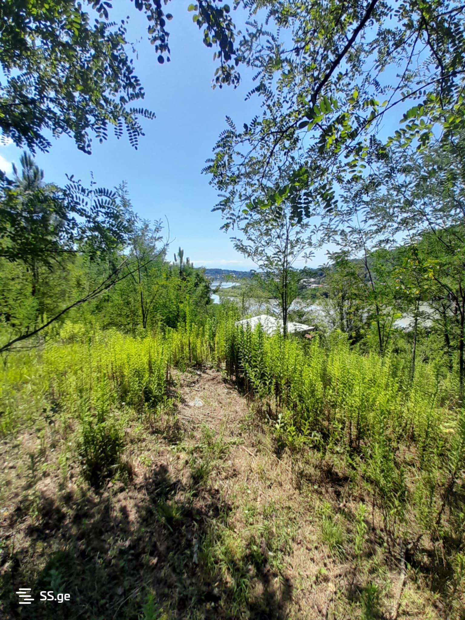 Land For Sale. Kutaisi view 2