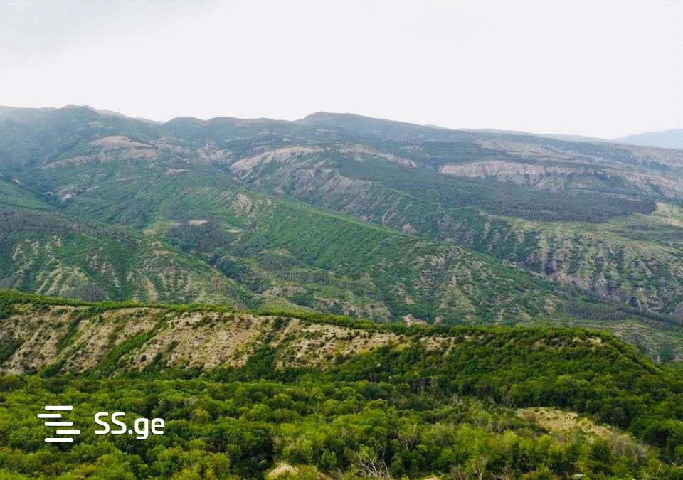 Land For Sale. Betania view 3