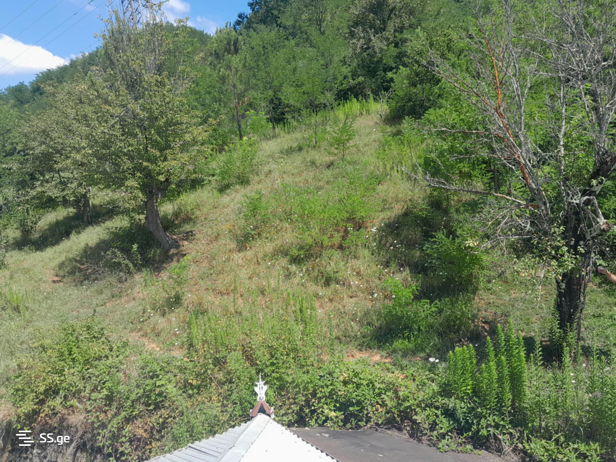 Land For Sale. Kutaisi view 4