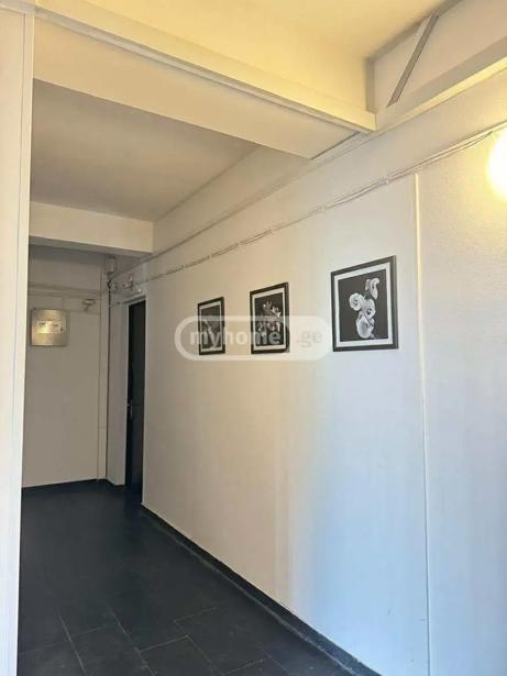 https://static.ss.ge/20260213/12_4d31989e-7c12-4f83-8782-4f167d4e5eee_Thumb.jpg