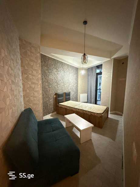 https://static.ss.ge/20260213/16_84239db9-4c76-4262-a829-31b43480c049_Thumb.jpg
