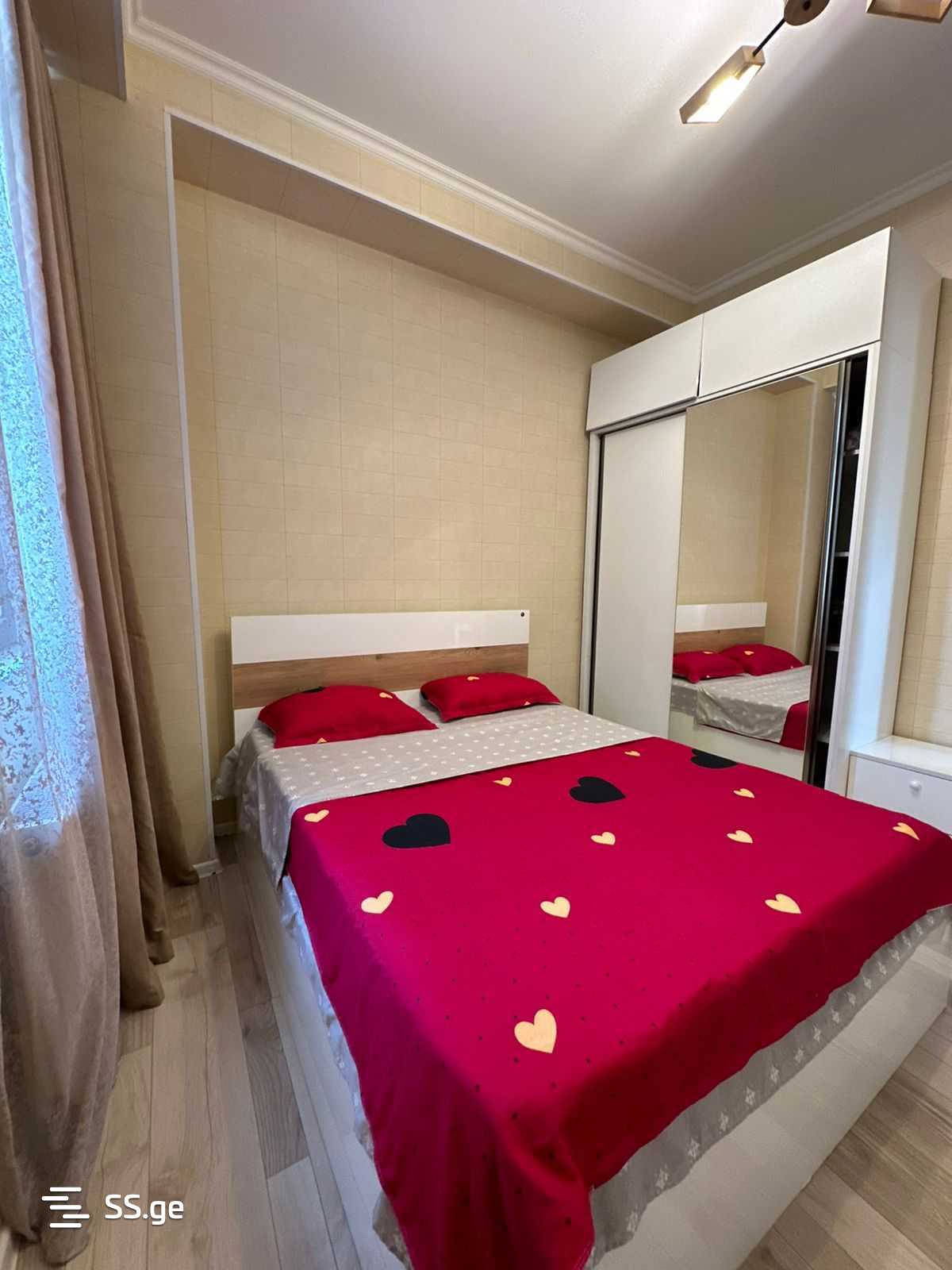 2 Room Flat Daily Rent. Didi Digomi view 2