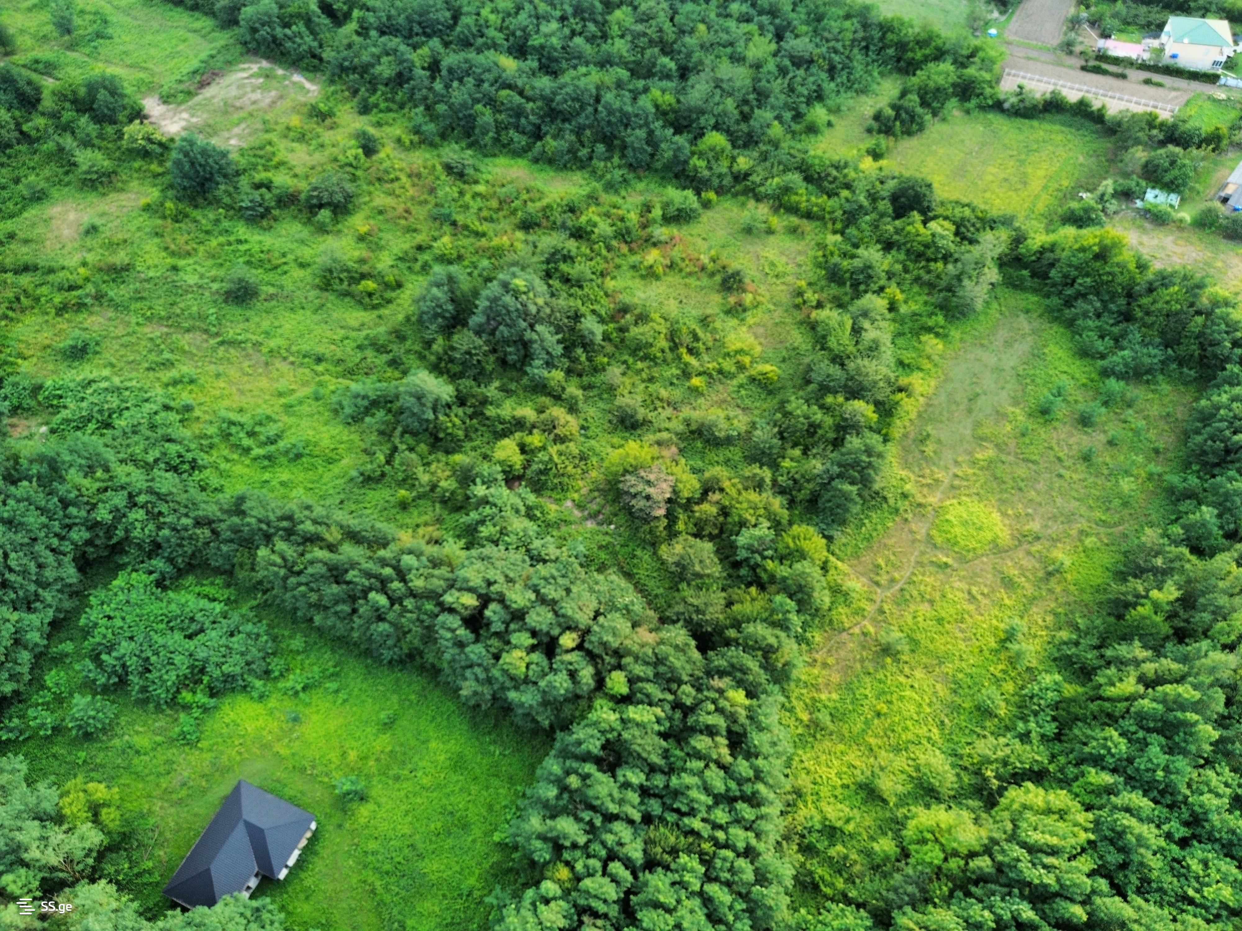 Land For Sale. Kutaisi view 1
