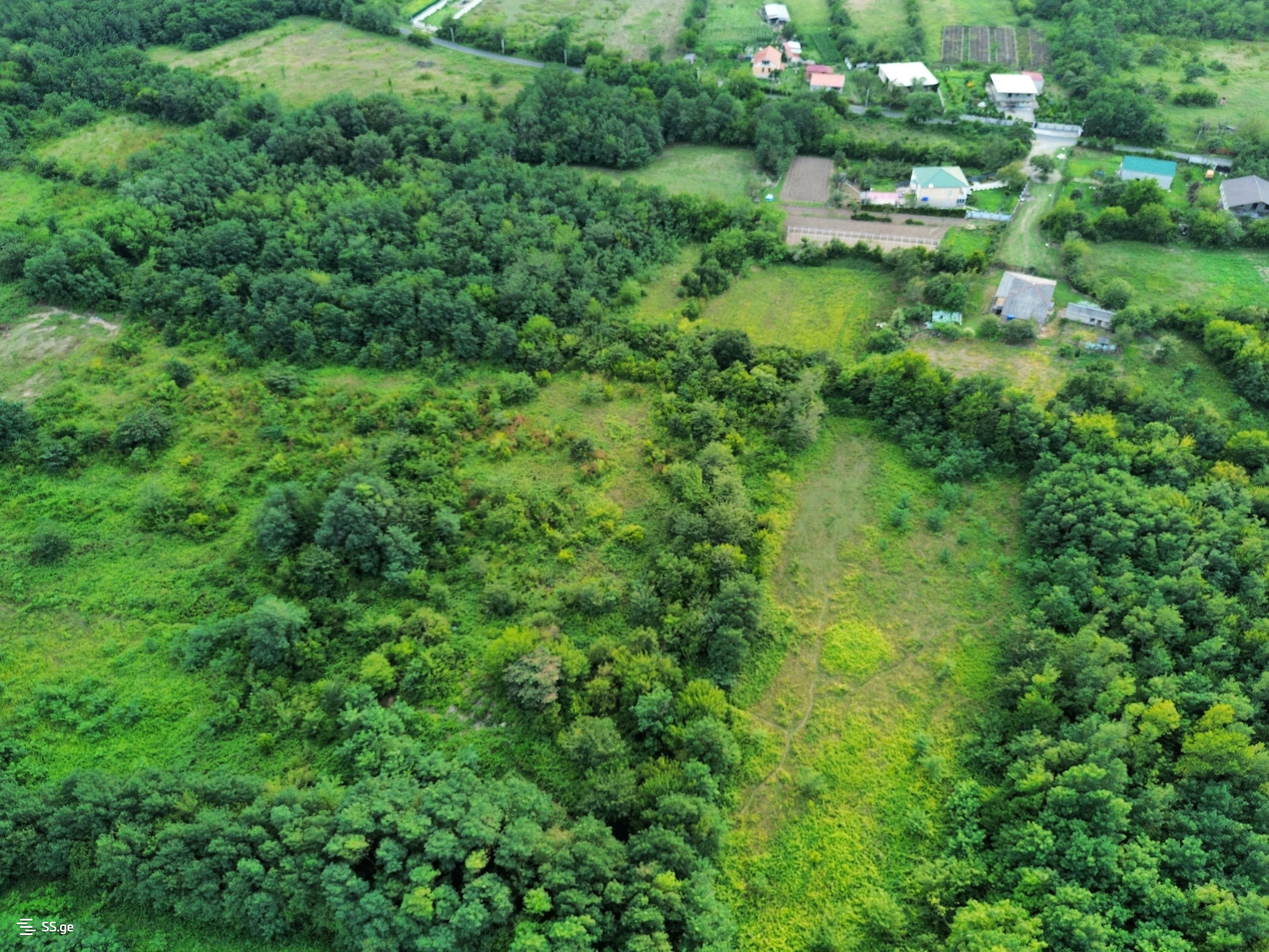 Land For Sale. Kutaisi view 5