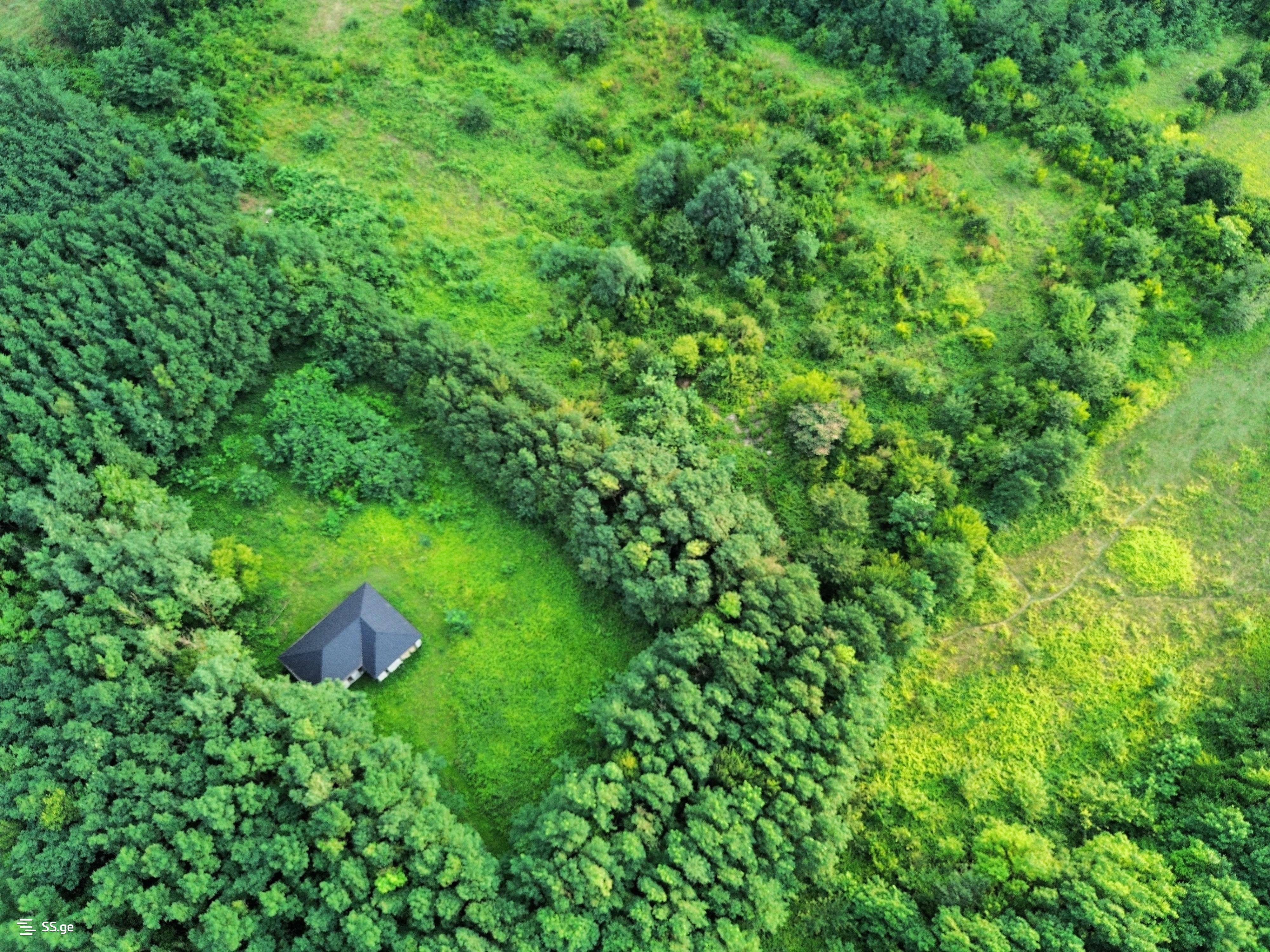 Land For Sale. Kutaisi view 2