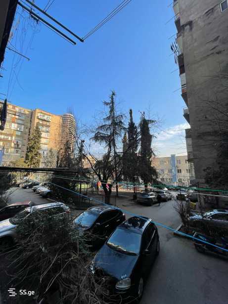 https://static.ss.ge/20260214/13_a959bccc-52a8-427e-aafd-7925d9a44044_Thumb.jpg