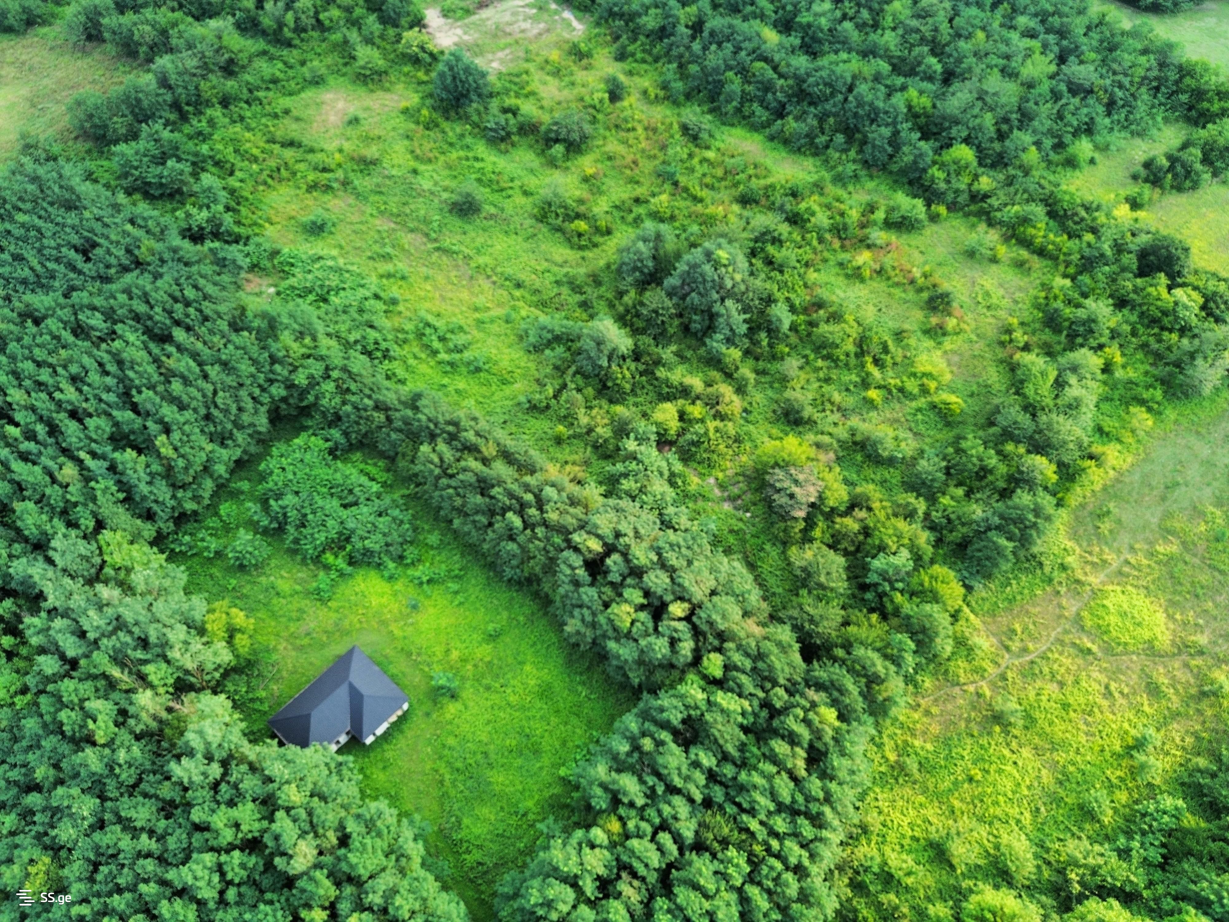Land For Sale. Kutaisi view 8