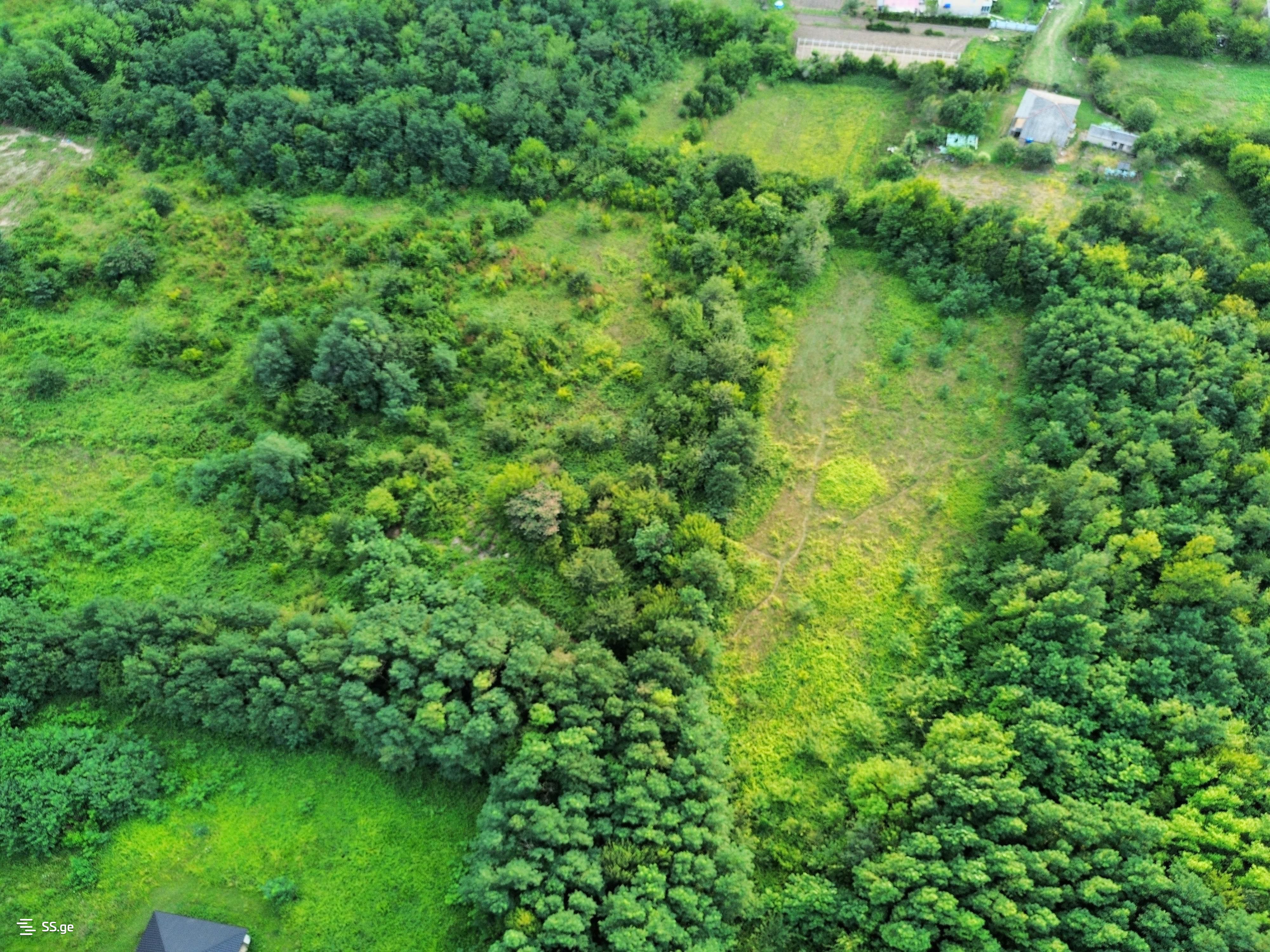 Land For Sale. Kutaisi view 4