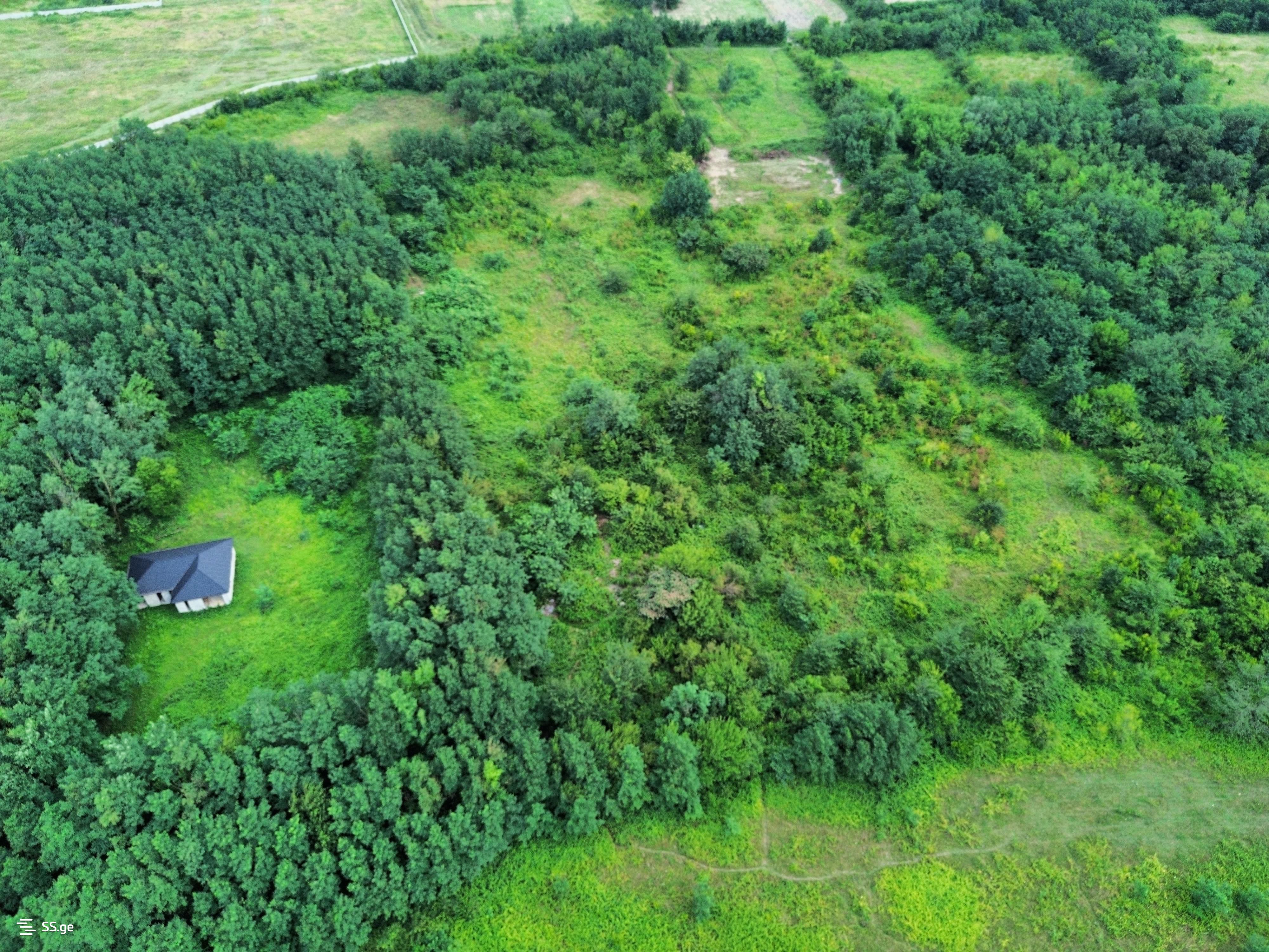 Land For Sale. Kutaisi view 7