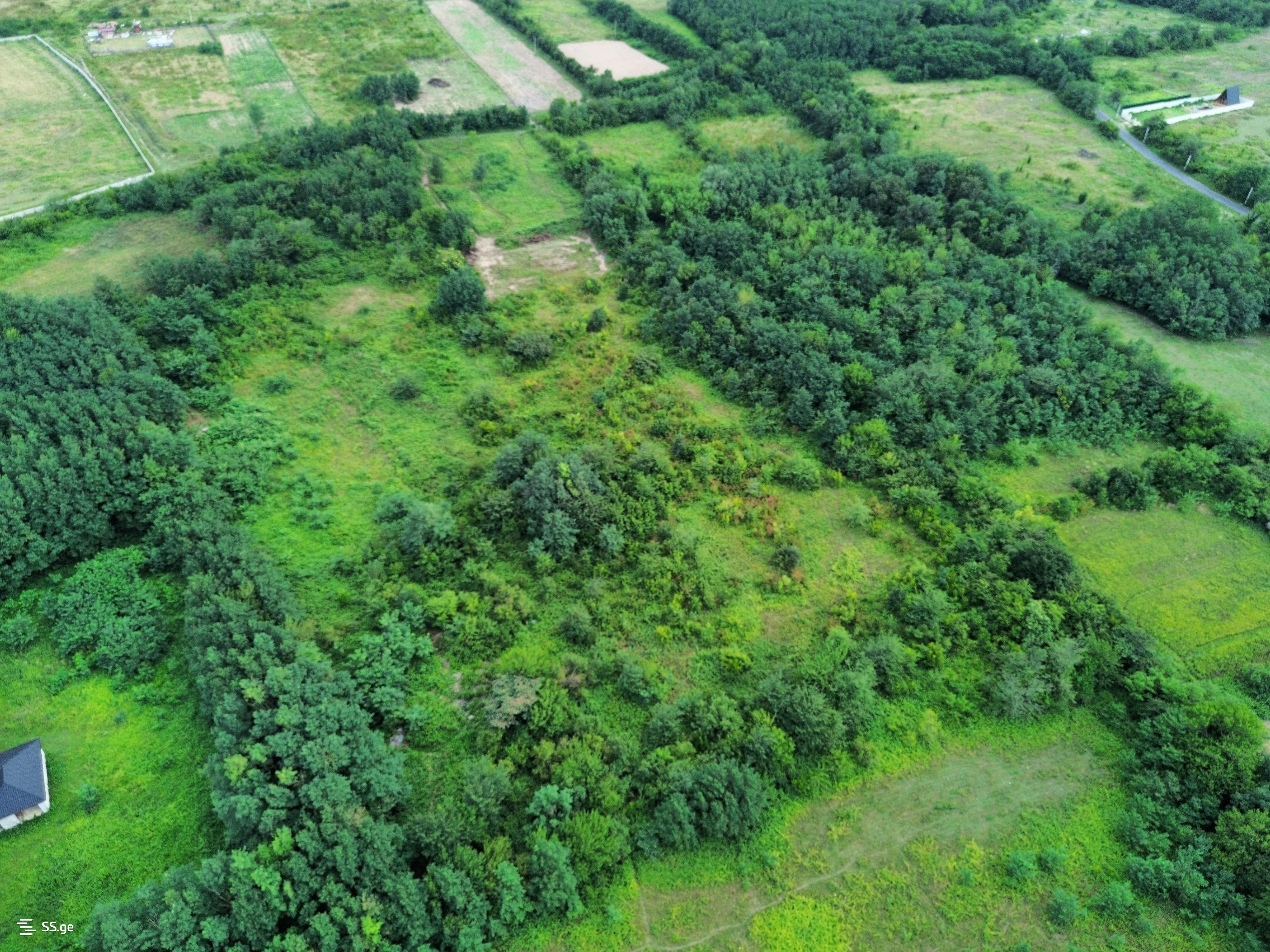 Land For Sale. Kutaisi view 6