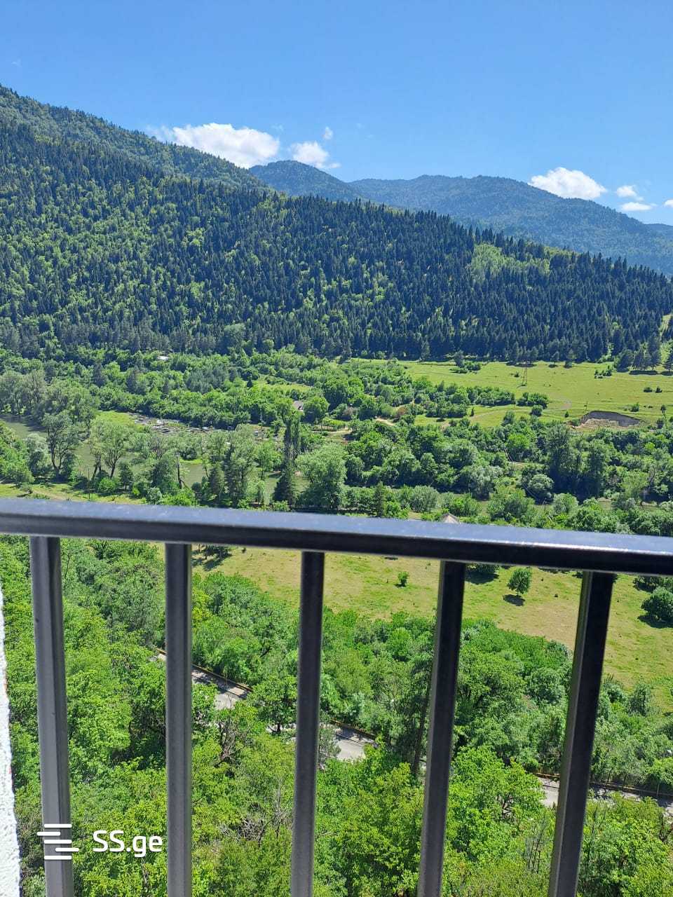 1 Room Flat Daily Rent. Borjomi view 9